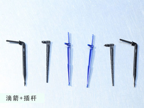 鿴ϸϢ⣺μ Ķ1919